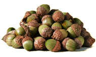 Acorn Heap