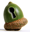 Secure Acorn